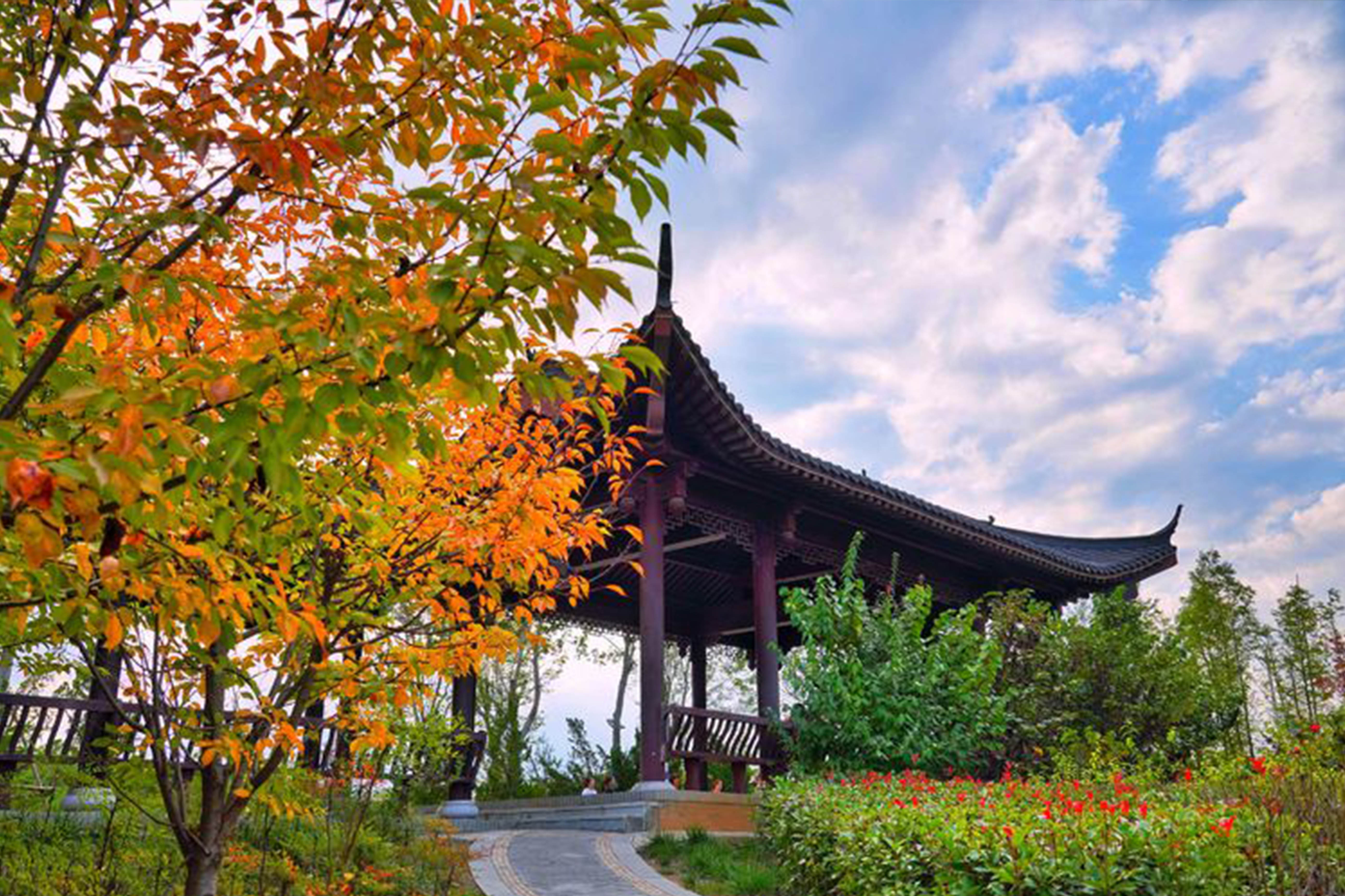 1610503807692487.jpg 6.jpg