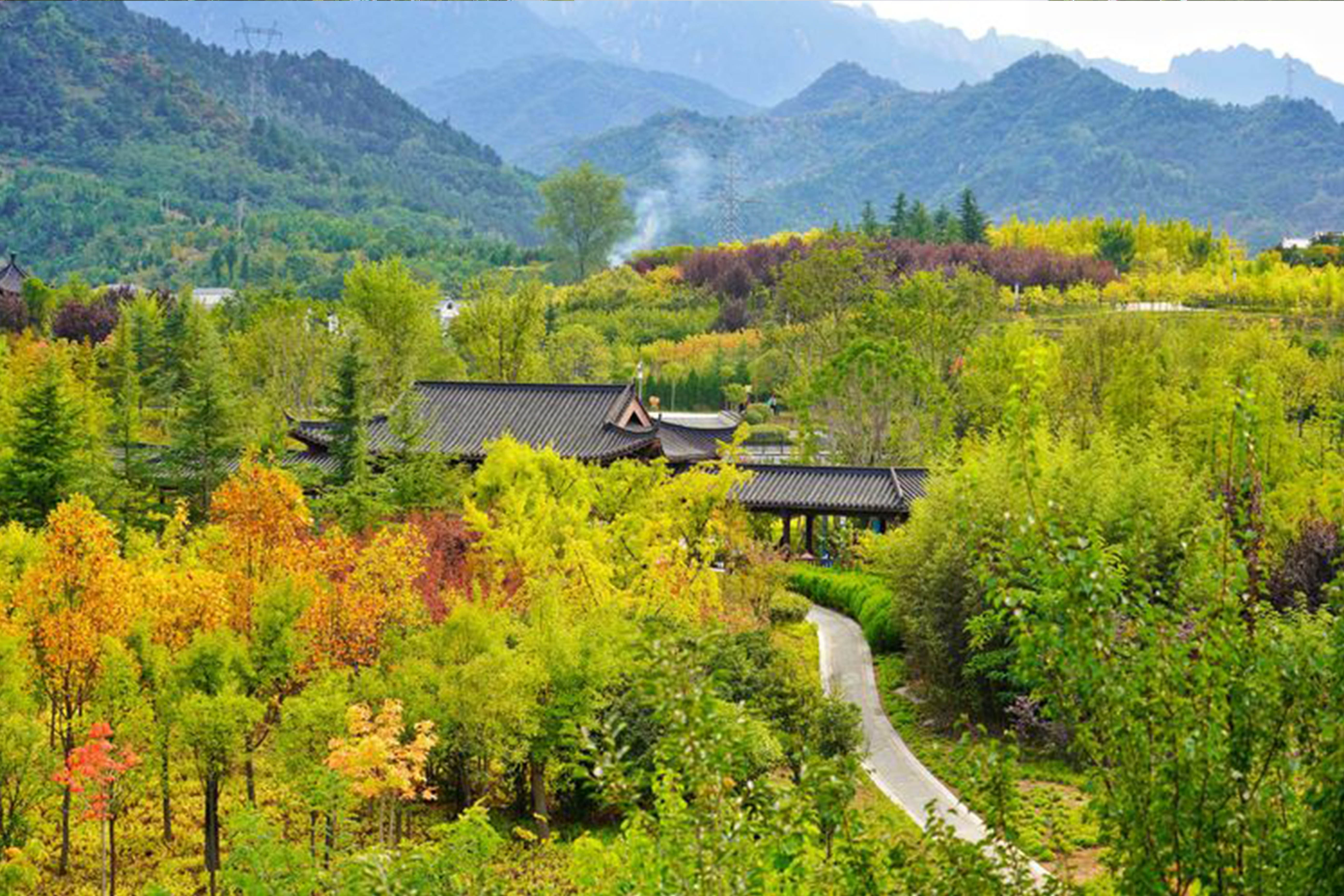 1610504097386332.jpg 5.jpg